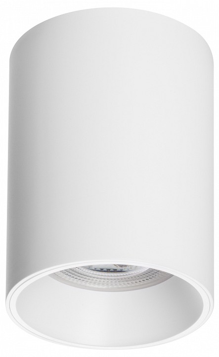 Накладной светильник Lightstar Rullo 213436