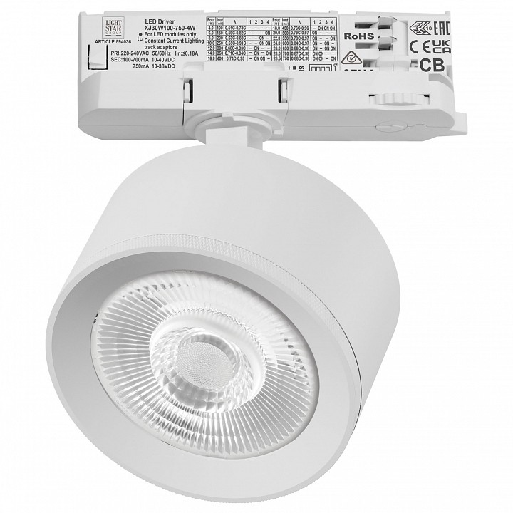 Светильник на штанге Lightstar Alta Pro A5536QT60G