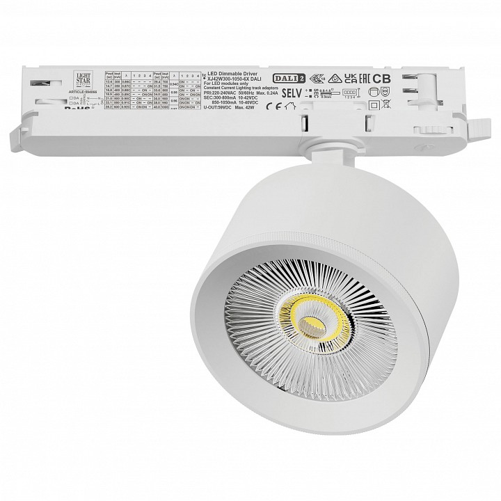 Светильник на штанге Lightstar Alta Pro A5546DALI