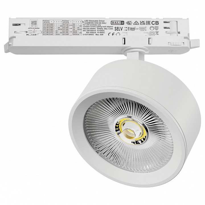 Светильник на штанге Lightstar Alta Pro A5646DALI