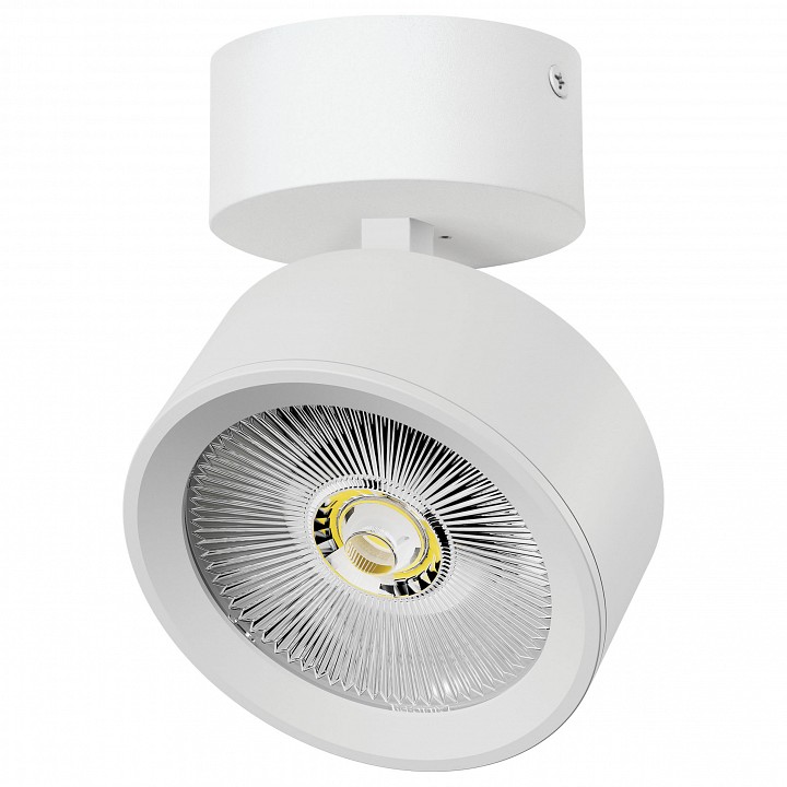 Спот Lightstar Alta Pro A5646SO