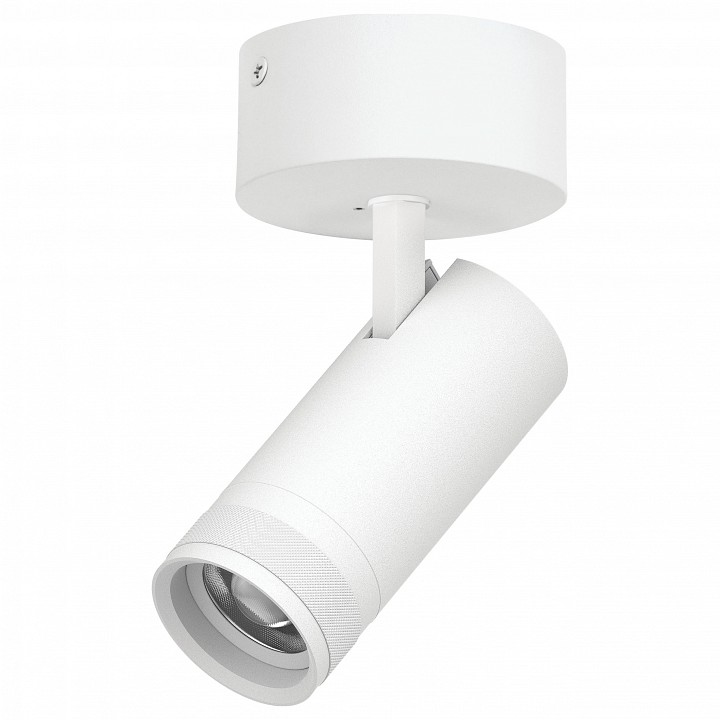 Спот Lightstar Canno Pro C4206SO