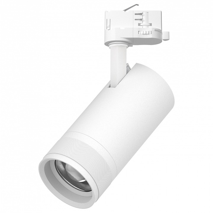 Светильник на штанге Lightstar Canno Pro C4306QT