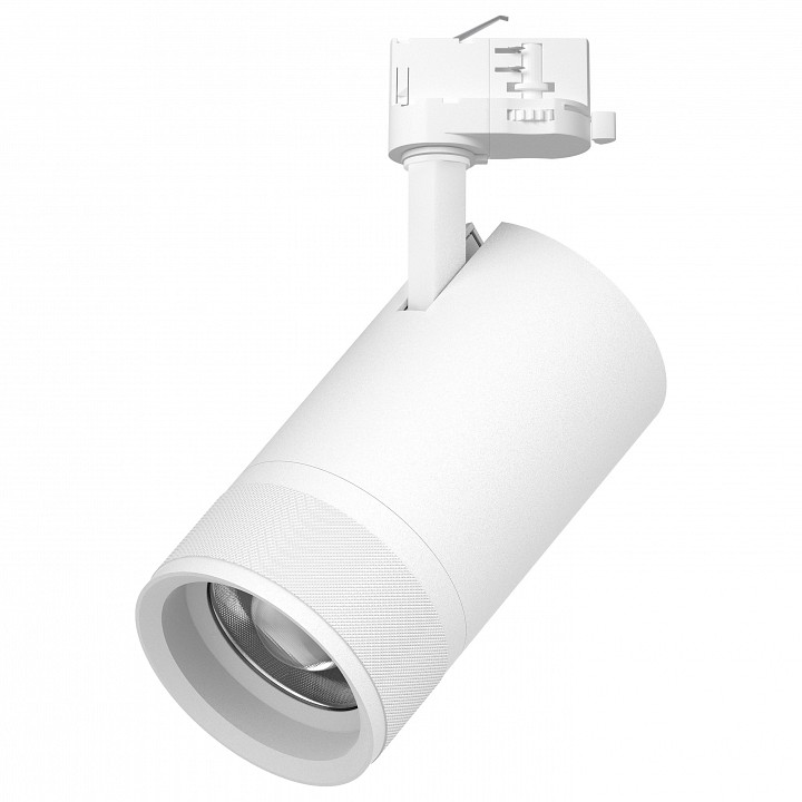Светильник на штанге Lightstar Canno Pro C4406QT