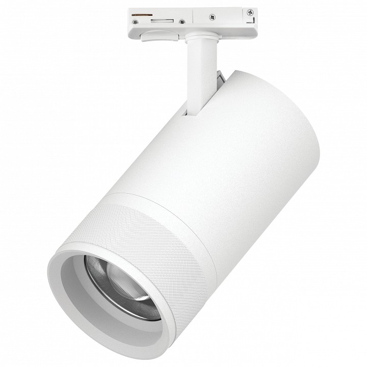 Светильник на штанге Lightstar Canno Pro C4406SS