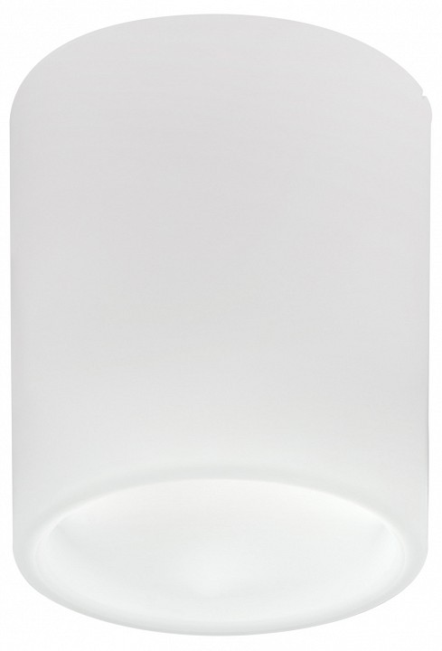 Накладной светильник Lightstar Solido E27 216626