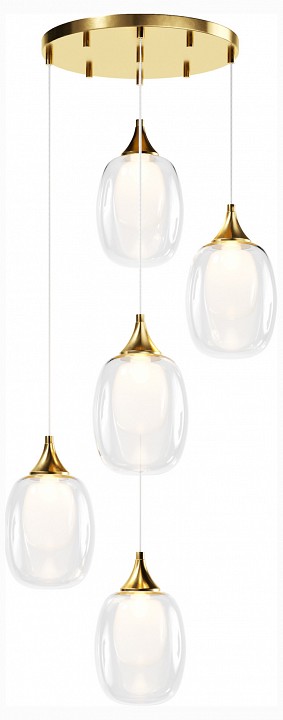Подвесной светильник Maytoni Аура MOD016PL-05BS