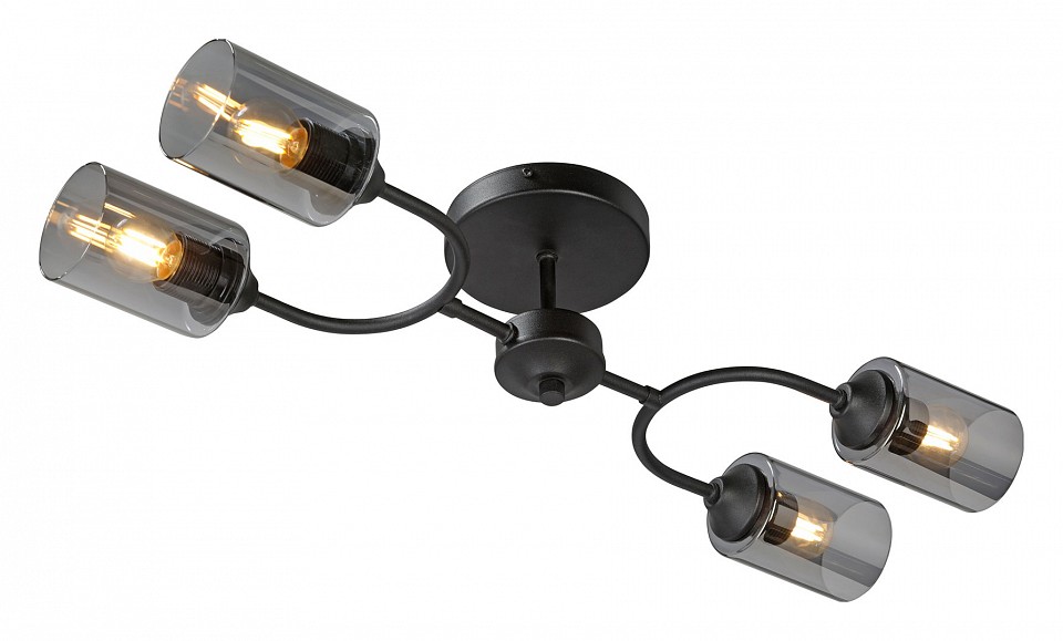 Потолочная люстра Vitaluce V2823 V2823-1/4PL