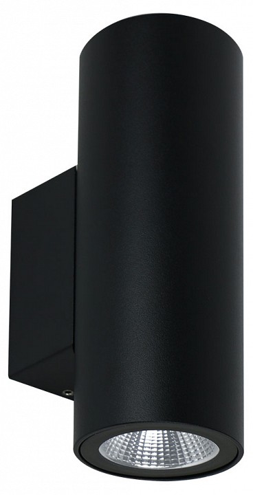 Накладной светильник Arte Lamp TORCULAR A1307AL-2BK