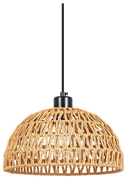 Подвесной светильник Arte Lamp BRUSHWOOD A7086SP-1BK