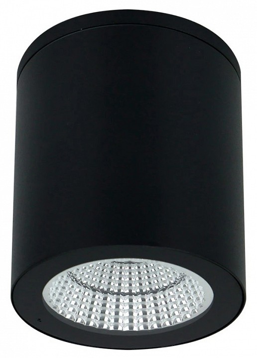 Накладной светильник Arte Lamp TORCULAR A1313PF-1BK