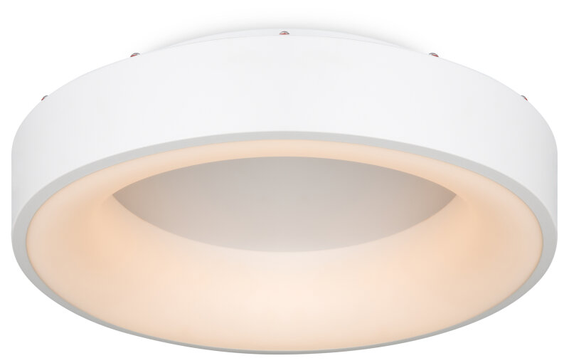 Накладной светильник Freya Люмикс FR6118CL-L45W