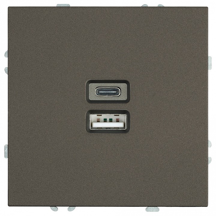 Розетка 2хUSB type A и C без рамки Stekker Эмили 49931